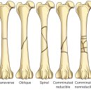 24시알파동물메디컬센터 이미지