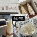 솔향 | [솔향주조] 강릉 전통주 양조장, 솔향탁주 솔직 후기