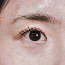 (유)에코 | 에코시티속눈썹 온리유 속눈썹펌 후기