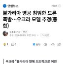 불가리아 영공 침범한 드론 폭발...우크라 모델 추정 이미지