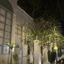 호텔인사이드 - 성남시 중원구 산성대로 158 | 치앙마이 내돈내산 올드타운 더인사이드하우스 호텔 객실 후기, 수영장, 어메니티 후기 등등