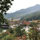 아이룩안경콘텍트 이미지