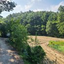 금산농장 이미지