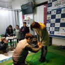 평내 스크린 골프 이미지