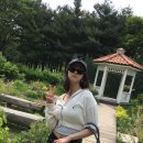 다솜헤어센스