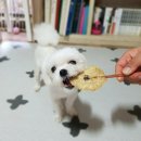 벨라스키친