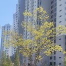 죽백근린공원 이미지