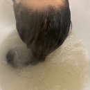 HANNA헤어(한나헤어) | 부산 서면 두피관리 천연 아로마두피관리 헤어비브 한나원장님 후기