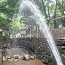 솔내음과 물소리 이미지