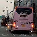 노블여행사