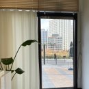 오브니네일스튜디오