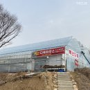 백년다육