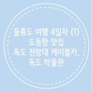 봉골수산 | 울릉도 여행 4일차 (1) - 도동항 맛집 라니온, 독도 전망대 케이블카, 독도 박물관