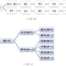 무방과 비일의 중도적 구조 이미지