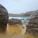 소용공원 | 여행] 대만 타이베이 여행 : 예류지질공원 태풍 풍웡 뚫고 다녀온 솔직 후기! 우비 구매 꿀팁 &amp; 시장 쇼핑