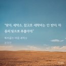 파랑새 세탁소 네이버블로그