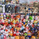 문화카인테리어 | 다낭 현지 렌트카 다낭 공항픽업 예약