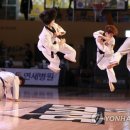 챔피언체육관(태권도) 이미지