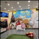 베베펫 천안 강아지분양 고양이분양 이미지