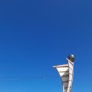 강동초교 이미지