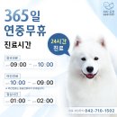 24시도안동물메디컬센터 이미지