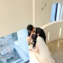 엘로디헤어 | 아이폰스냅 엘로디스냅 본식 촬영 후기(짝꿍할인)
