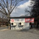 카페더로그앤통나무집 | 곡성 대형카페 추천 : 낭만적인 카페더로그앤통나무집에서 커피 한 잔과 홍시 판나코타