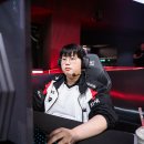 모터홈코리아 주식회사 이미지