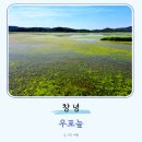 우포늪주차장 | 창녕 가볼만한곳 6월 우포늪 주차장 트레킹 도보 코스 자전거대여 여름