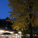 북면상동리 | 천안시 동남구 북면 상동리 기와52 카페에서 반가운 분들을 만나 뵈었습니다!