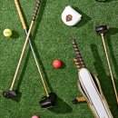파크골프클럽 | 미나베 파크골프채 세트 프리미엄 파크골프 클럽 공인 파크볼 입문용 5종 구성 실사용 후기