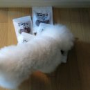 두부네수제간식 이미지