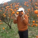 우리집농원
