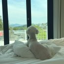 시바별장 이미지