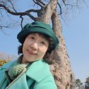 원플러스원 이미지