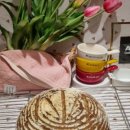 플레이파이 스튜디오 이미지