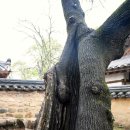 교촌경로당 이미지