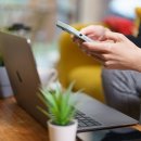 맘동물병원 이미지