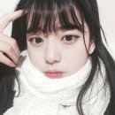 신세휘 카카오 검색결과