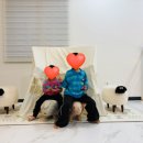 발리담 풀빌라 이미지