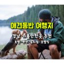 놀러오개 애견유치원 애견호텔 김해점 | 반려견과 함께 경남 가볼만 한 곳...경남 애견전용 유치원･호텔,애견동반 호텔･펜션･캠핑장