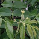 외성농장 이미지