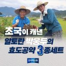 [완전초보] 김부장의 생애 첫 선거전 현장자봉 (진심전달-곡성 9월29일) 이미지