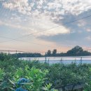 미륵산농장 이미지