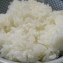 여기, 김밥 이미지