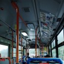 왕초보 생활영어 이미지