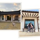 철이네 촌캉스 이미지