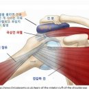 참마취통증의학과의원 이미지