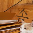 느낌안마시술소 이미지