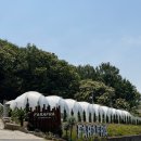 북부 수영장 | 파주 파라프라 경기북부점 수영장, 주말 카바나와 바베큐 이용후기, 예약 팁까지!